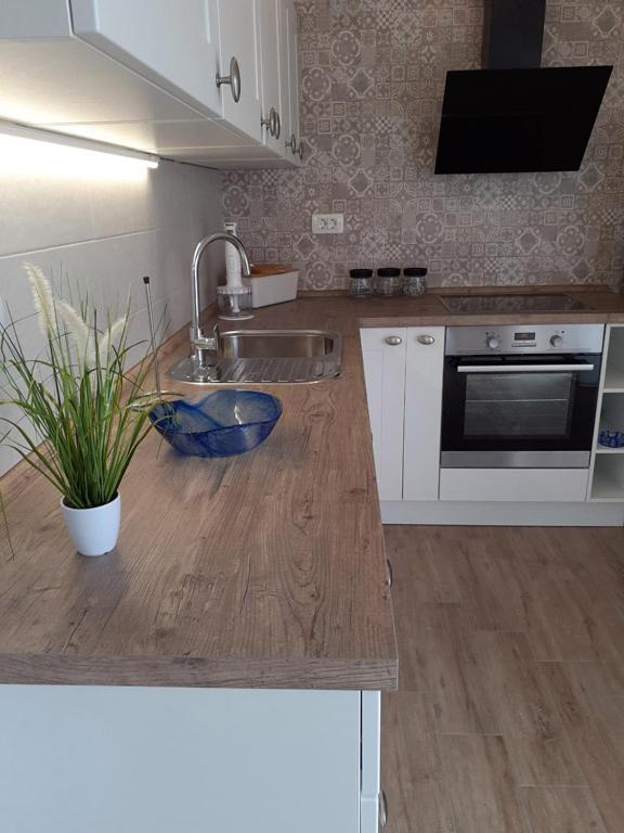 Apartmani Goga 2 Molat Eksteriør bilde